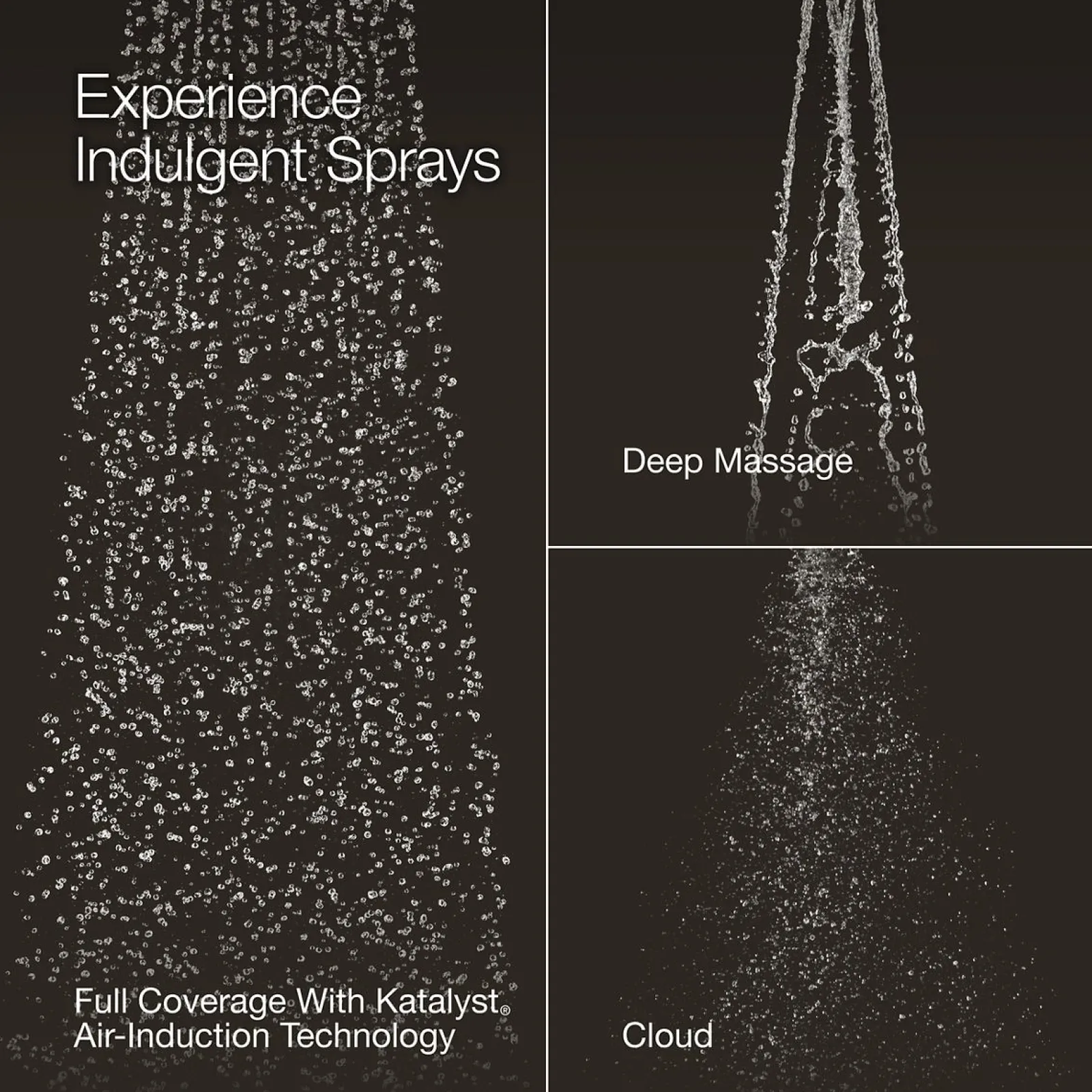 Three-function showerhead, 1.75 gpm^Kohler Online