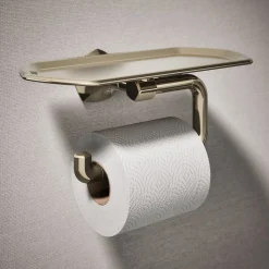 Toilet paper holder with tray^Kohler Discount