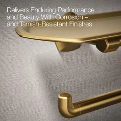 Toilet paper holder with tray^Kohler Discount