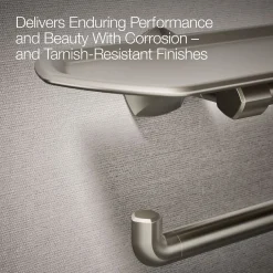 Toilet paper holder with tray^Kohler Discount