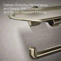 Toilet paper holder with tray^Kohler Discount