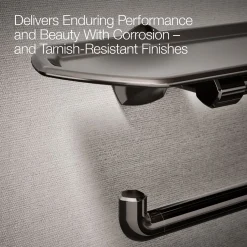 Toilet paper holder with tray^Kohler Discount