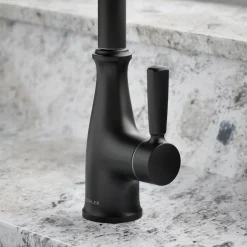 Traditional beverage faucet^Kohler Sale