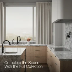 Transitional beverage faucet^Kohler Discount