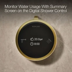 Two-outlet bath/shower digital control^Kohler New