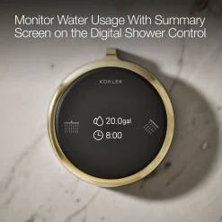 Two-outlet shower digital control^Kohler New