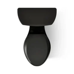 Two-piece elongated toilet, dual-flush^Kohler Discount