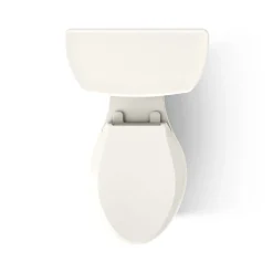 Two-piece elongated toilet, dual-flush^Kohler Discount