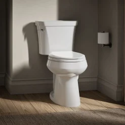 Two-piece elongated toilet, 1.6 gpf^Kohler Online