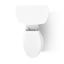 Two-piece elongated toilet, 1.28 gpf^Kohler Outlet