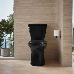 Two-piece elongated toilet with skirted trapway, 1.28 gpf^Kohler Clearance