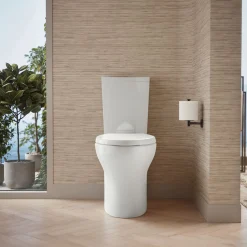 Two-piece elongated toilet with skirted trapway, dual-flush^Kohler Discount