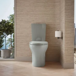 Two-piece elongated toilet with skirted trapway, dual-flush^Kohler Discount