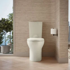 Two-piece elongated toilet with skirted trapway, dual-flush^Kohler Discount