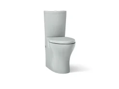 Two-piece elongated toilet with skirted trapway, dual-flush^Kohler Discount