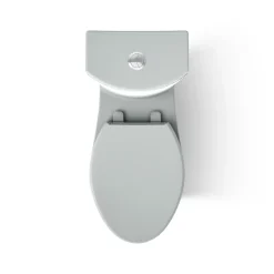 Two-piece elongated toilet with skirted trapway, dual-flush^Kohler Discount