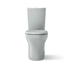 Two-piece elongated toilet with skirted trapway, dual-flush^Kohler Discount