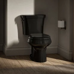 Two-piece round-front toilet, dual-flush^Kohler