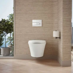 Wall-hung compact elongated toilet, dual-flush^Kohler