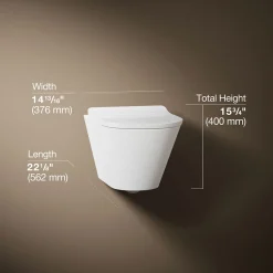 Wall-hung round-front toilet, dual-flush^Kohler Outlet