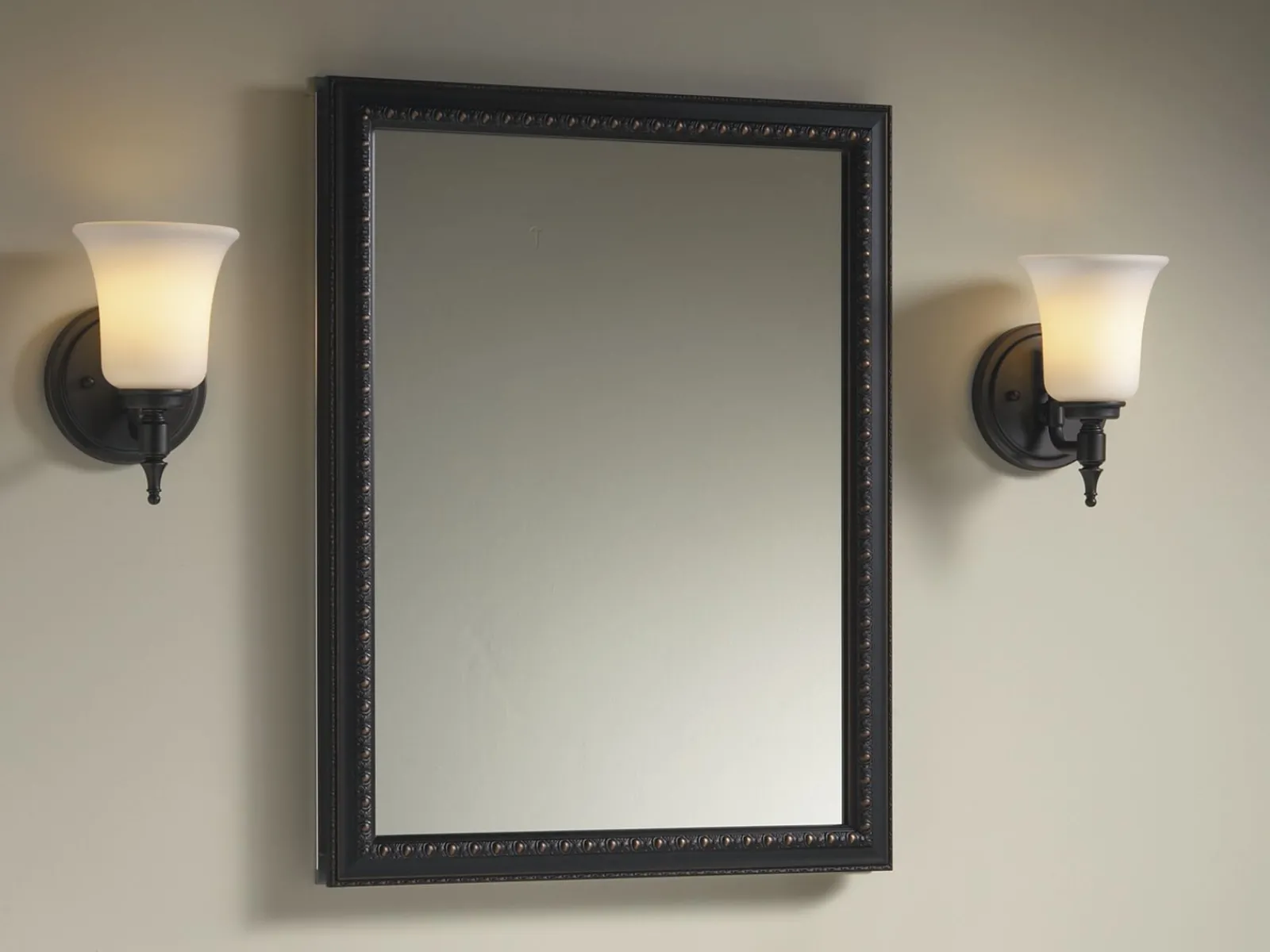 20" W x 26" H aluminum single-door medicine cabinet with framed mirror door^Kohler Outlet