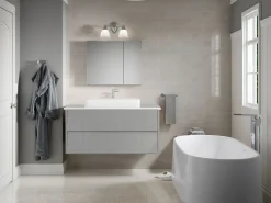 30" W x 24" H medicine cabinet^Kohler Best